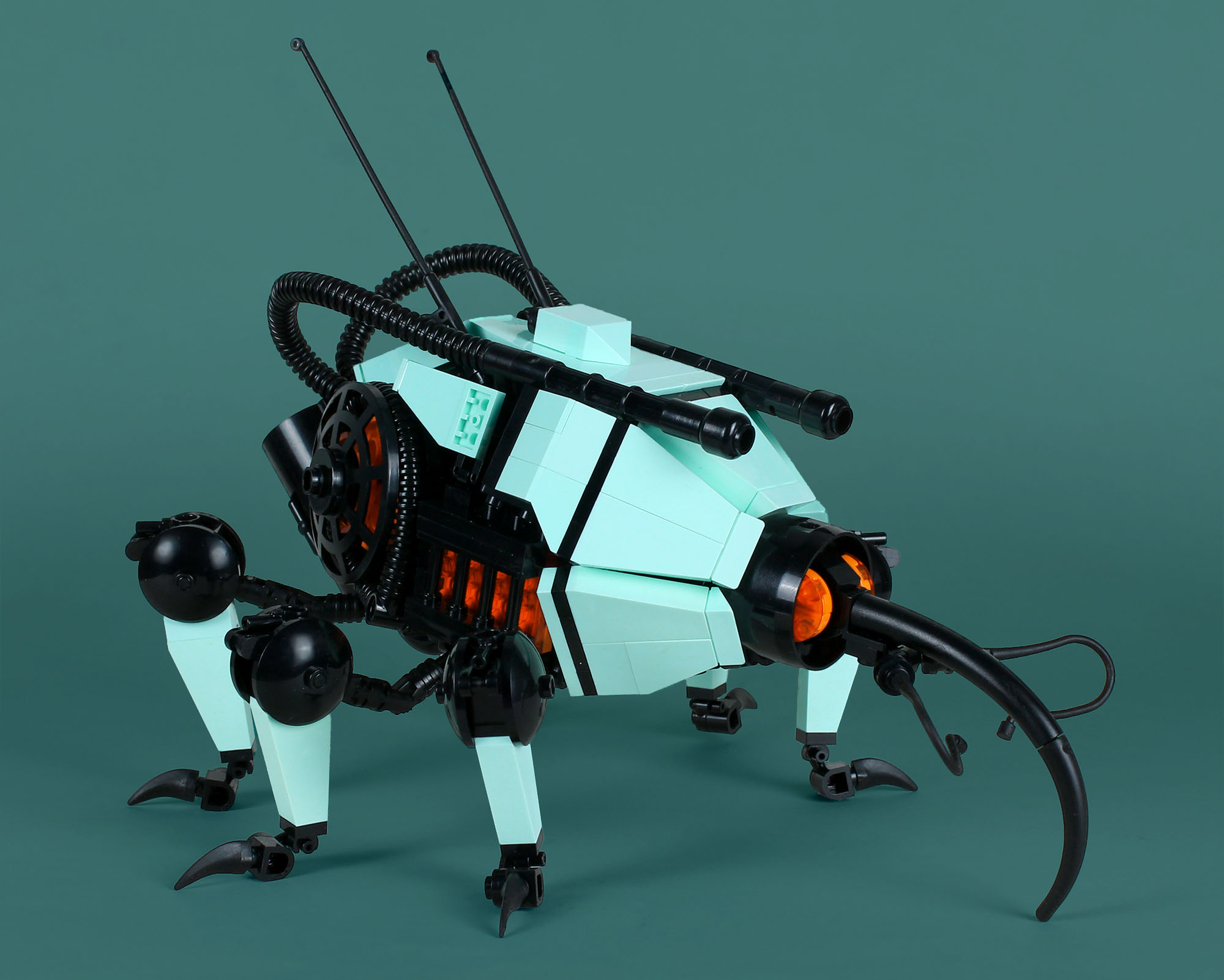 Weevil