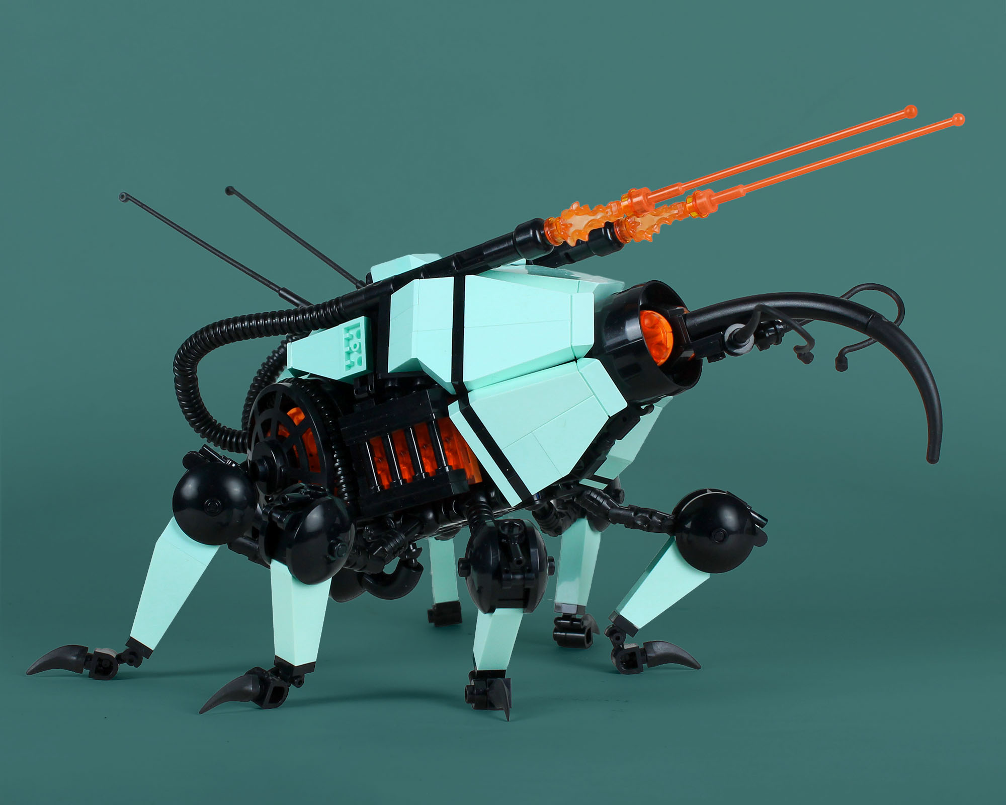 Weevil